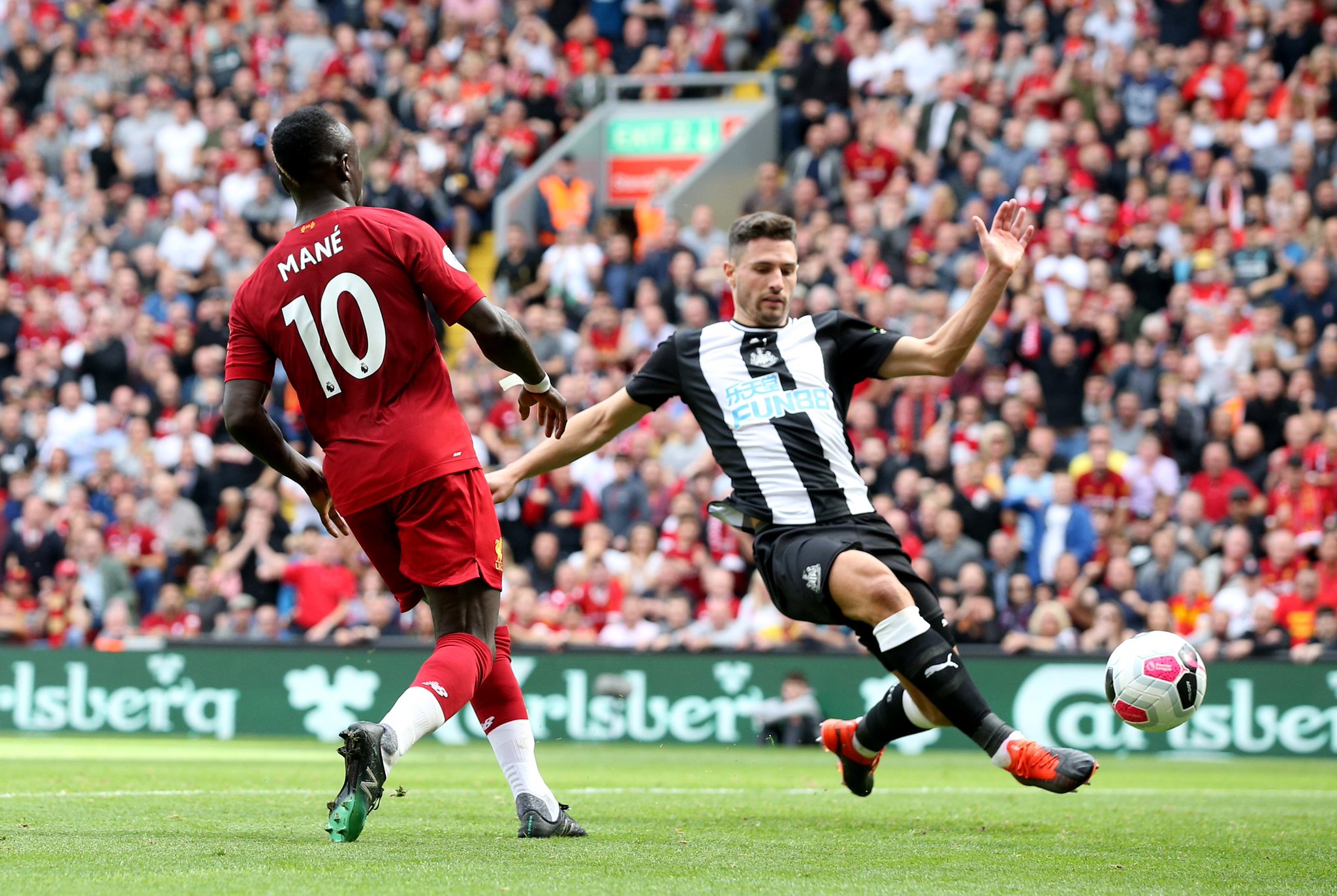 狮的三年合 狮的三年合